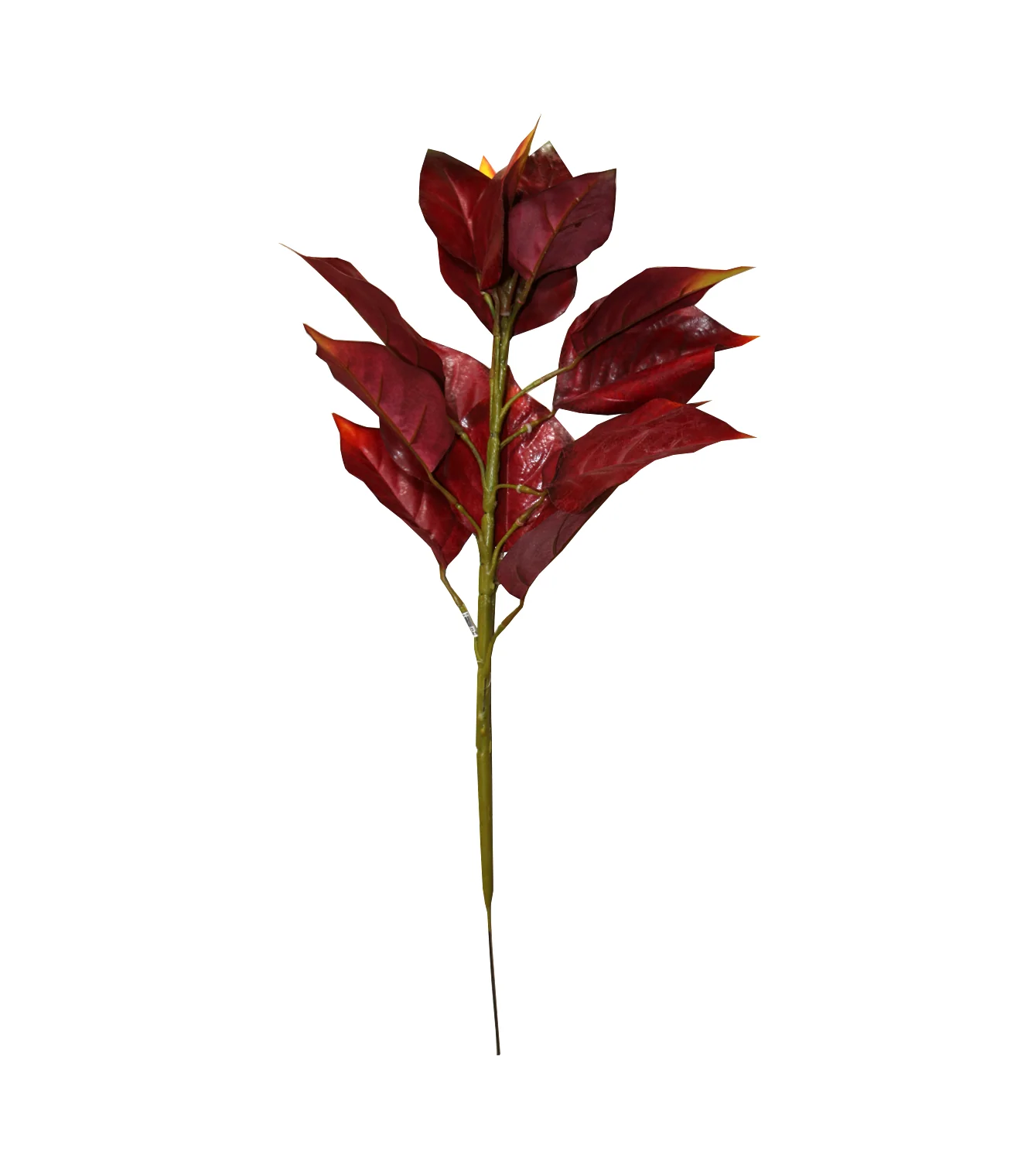 leaf branch red china - Image 2