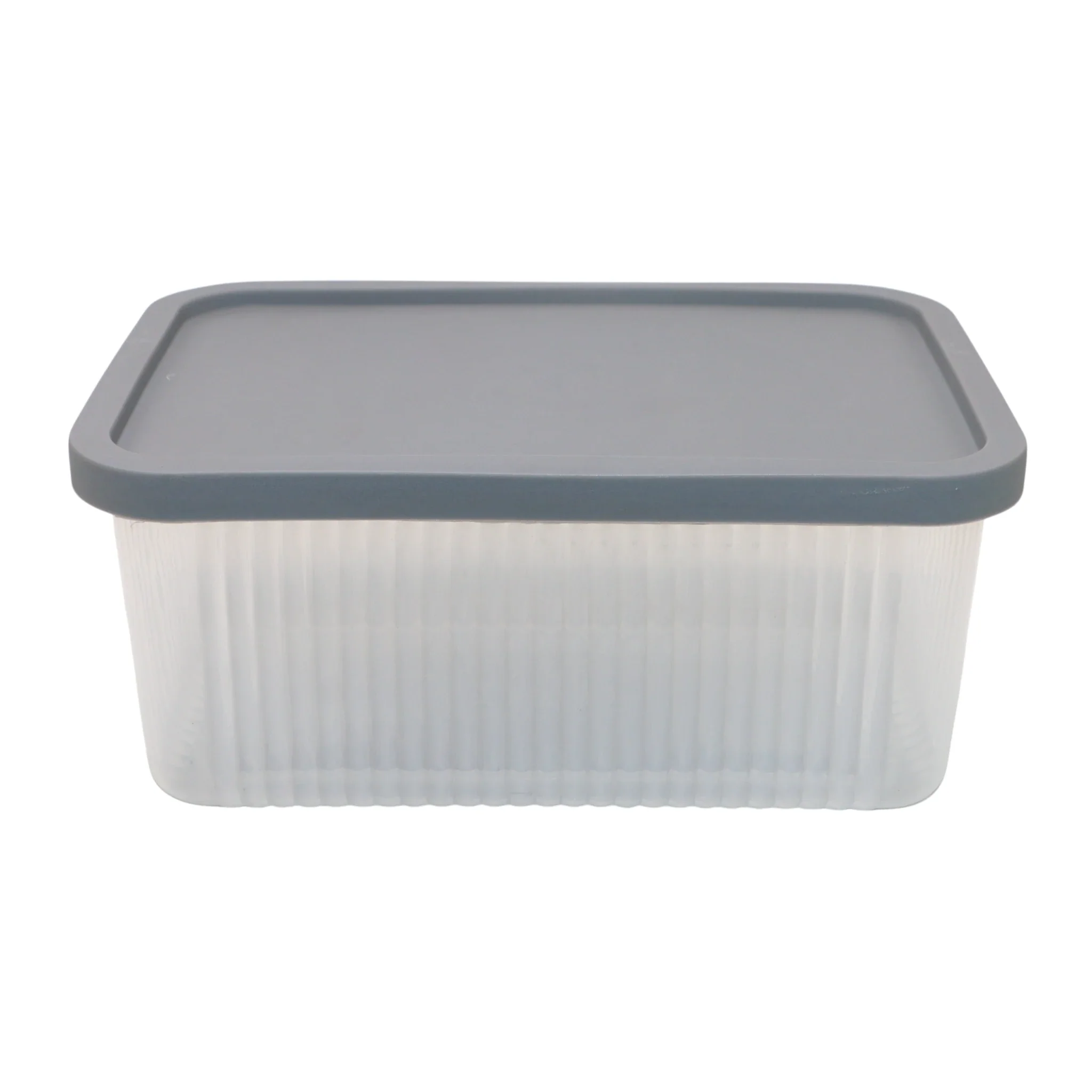 plastic box 1pc large rectangle pak fiesta oro
